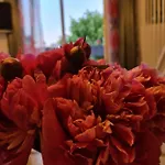 Hotel Cara Vita Cologne Кёльн