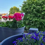 Отель Hotel Cara Vita Cologne Кёльн