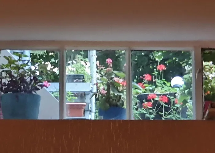 Cara 3* Kolín nad Rýnem