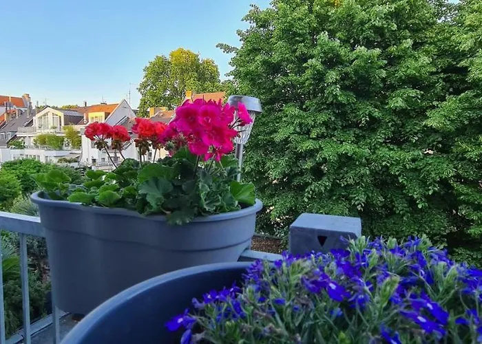 Hotel Cara Kolín nad Rýnem