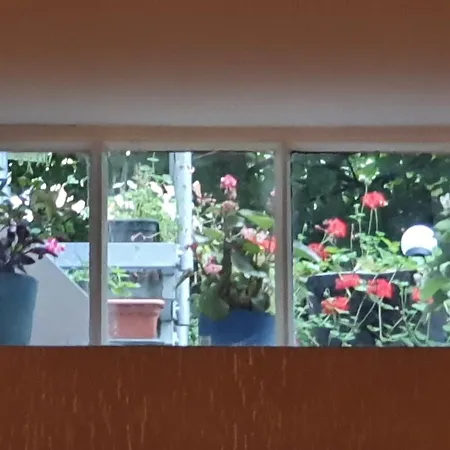 Hotel Cara Vita Cologne 3* Cologne