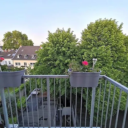 Cara