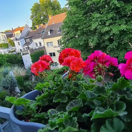 Hotel Hotel Cara Vita Cologne Cologne